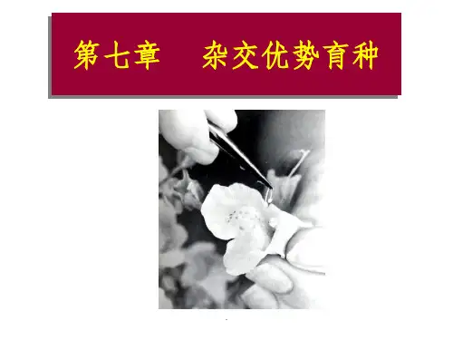 园林植物花卉育种学第7章 杂种优势的利用