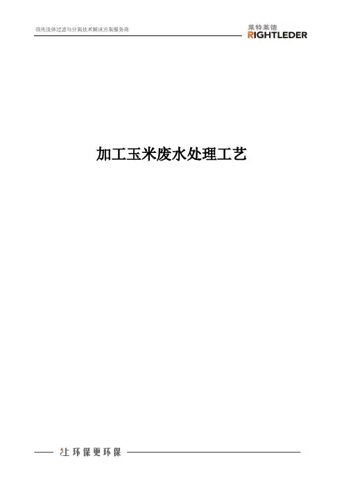 加工玉米废水处理工艺