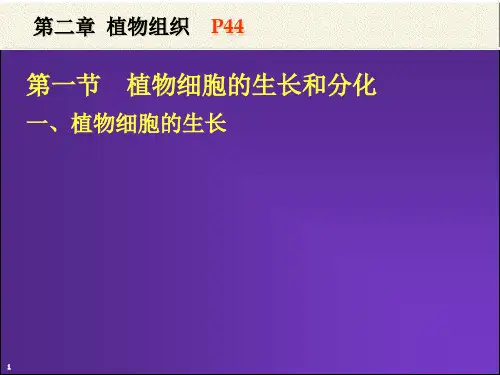 第二章 植物组织