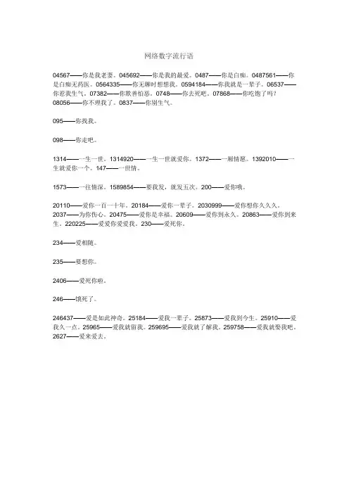 网络数字流行语