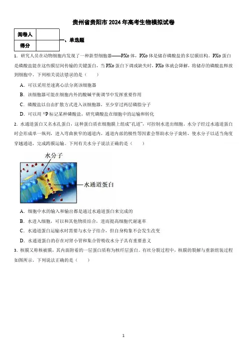 贵州省贵阳市2024年高考生物模拟试卷(含答案)3