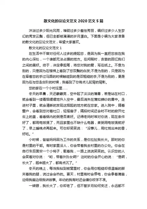 散文化的议论文范文2020范文5篇