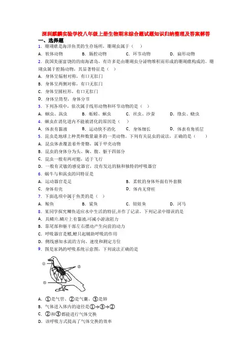 深圳麒麟实验学校八年级上册生物期末综合题试题知识归纳整理及答案解答