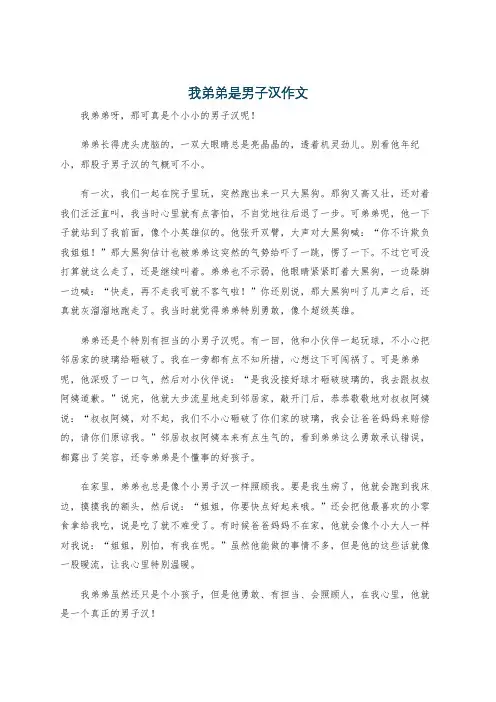 我弟弟是男子汉作文