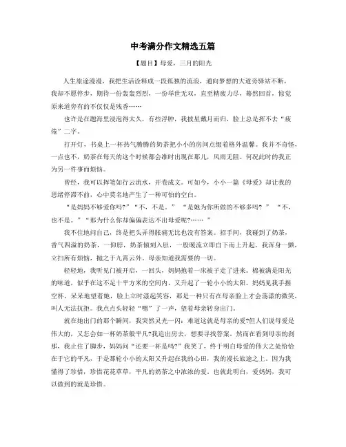 湖南中考满分作文精选5篇 (14)