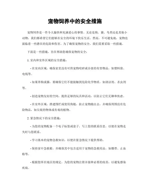 宠物饲养中的安全措施