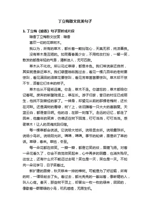 丁立梅散文优美句子