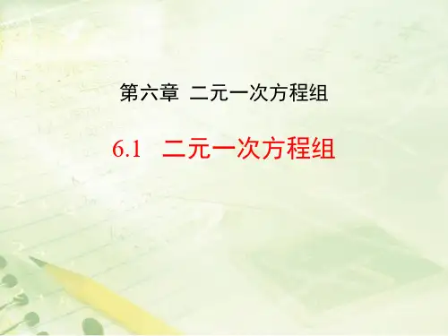 《二元一次方程组》数学教学PPT课件(2篇)