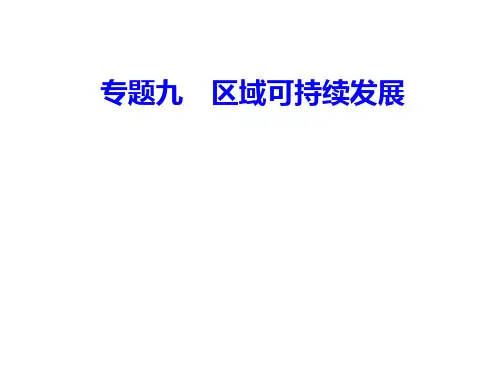 专题九考点6区域工业化和城市化的推进过程,产生的主要问题及解决措施