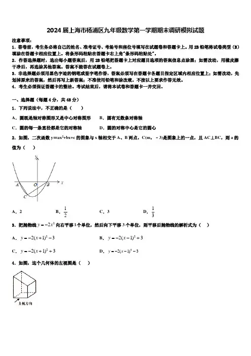 2024届上海市杨浦区九年级数学第一学期期末调研模拟试题含解析
