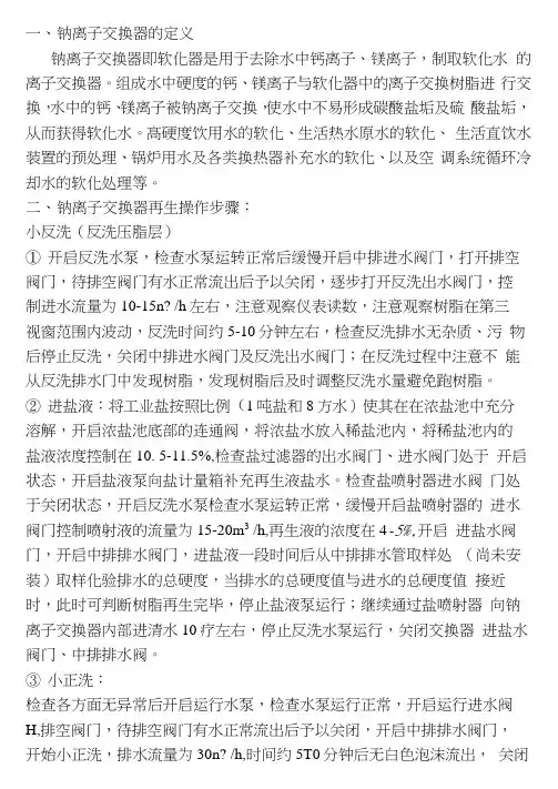 钠离子交换器