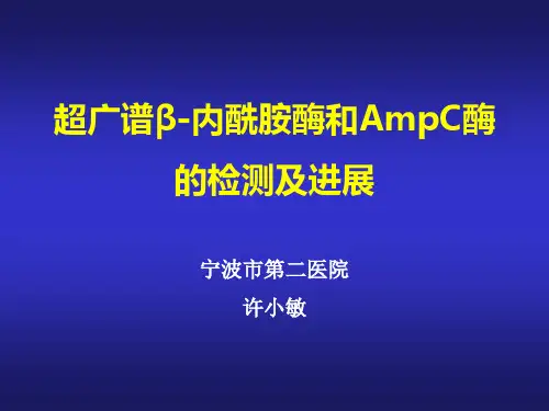 超广谱内酰胺酶和AMPC酶进展