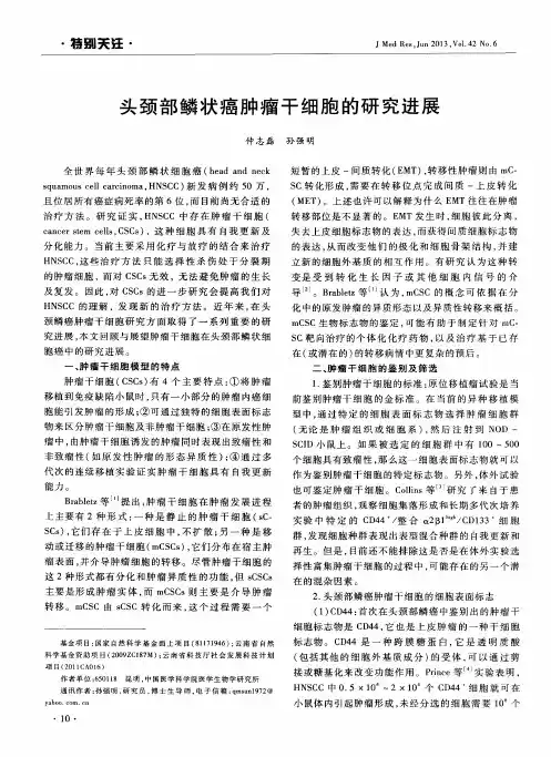 头颈部鳞状癌肿瘤干细胞的研究进展