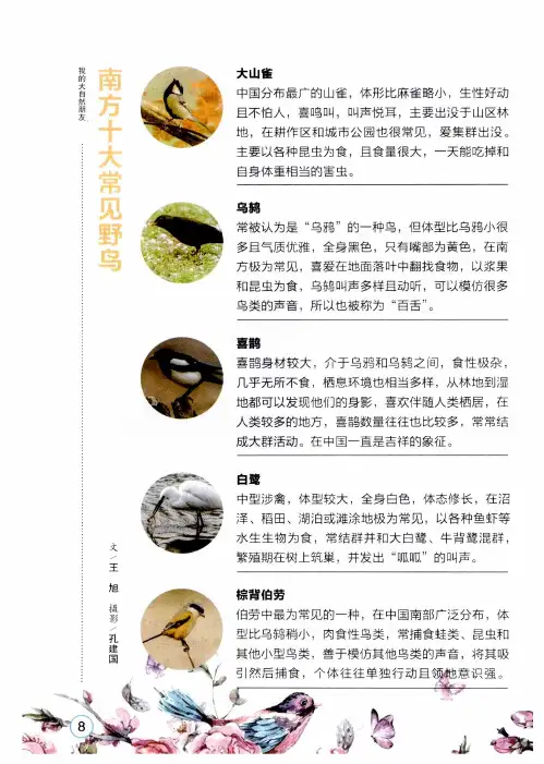 南方十大常见野鸟