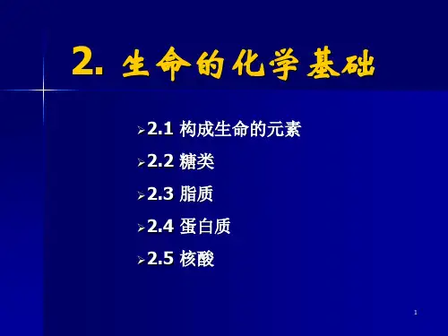 生命的化学基础PPT课件
