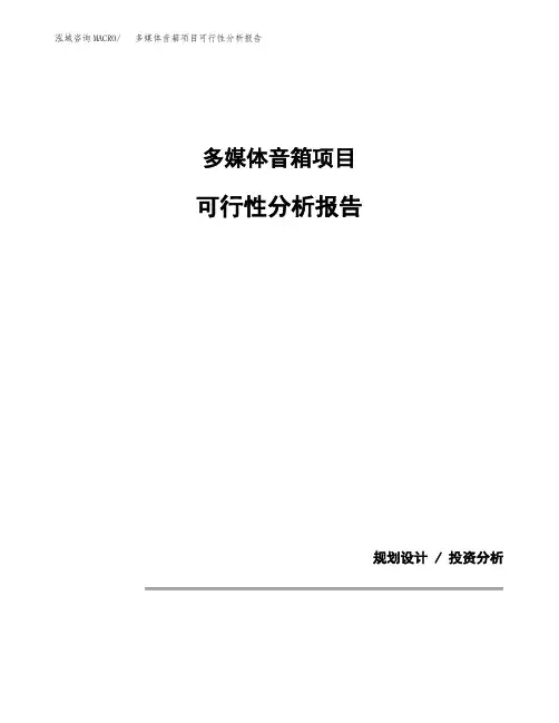 多媒体音箱项目可行性分析报告(模板参考范文)