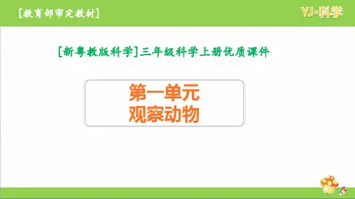 2020秋粤教版三年级科学上册第一单元全套课件(观察动物)