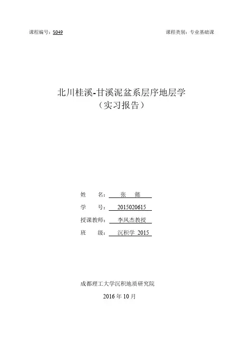 北川实习报告