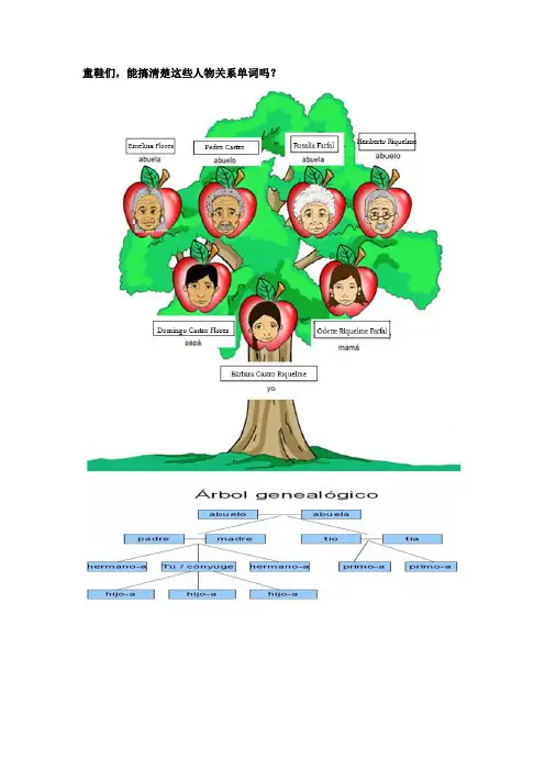 西班牙语关系人物关系词汇表