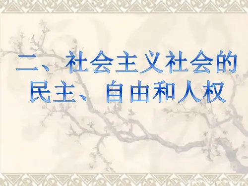 社会主义社会的民主、自由和人权