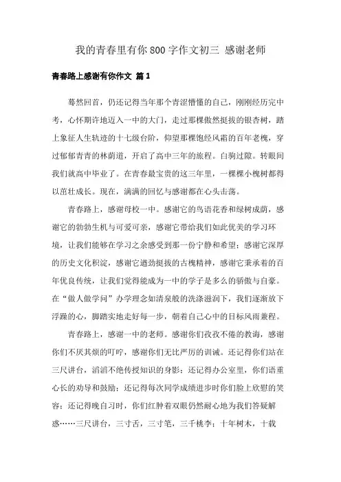 我的青春里有你800字作文初三 感谢老师
