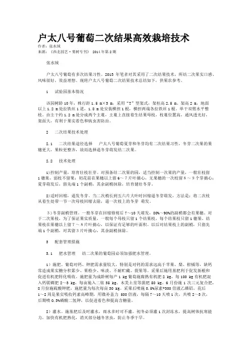 户太八号葡萄二次结果高效栽培技术