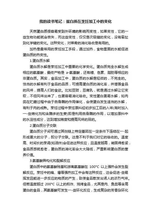 我的读书笔记：蛋白质在烹饪加工中的变化