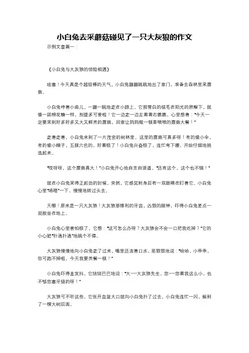 小白兔去采蘑菇碰见了一只大灰狼的作文
