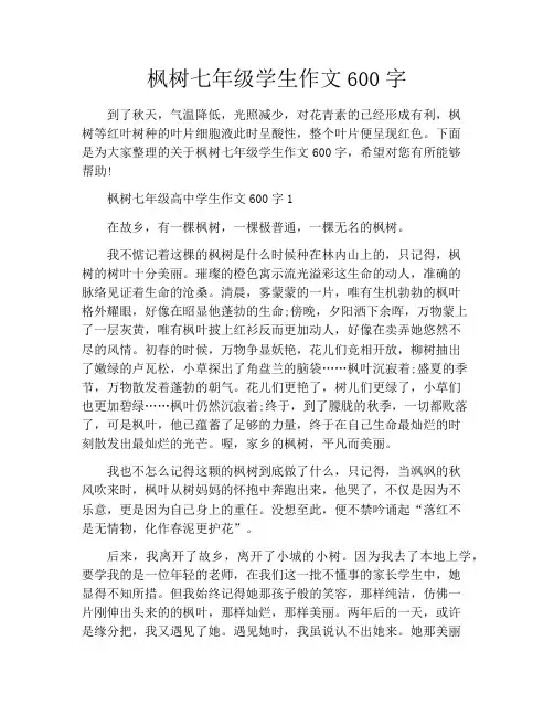 枫树七年级学生作文600字