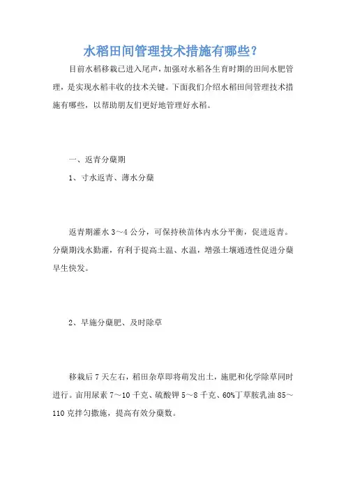 水稻田间管理技术措施有哪些？