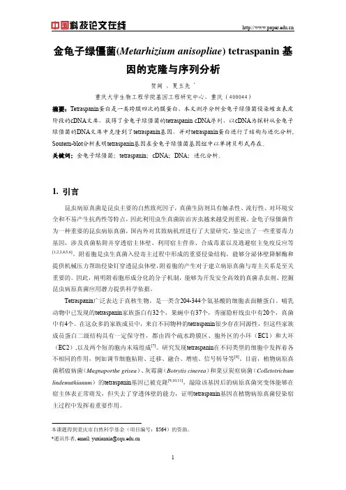 金龟子绿僵菌(Metarhizium anisopliae) tetraspanin基因的克隆与序列分析
