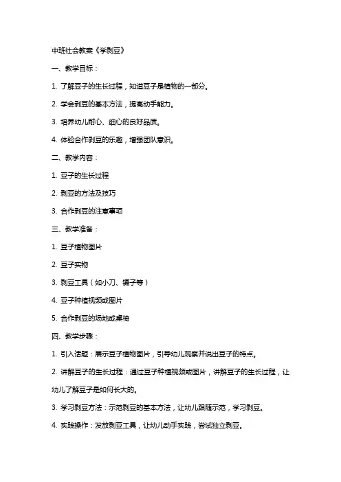 中班社会教案《学剥豆》