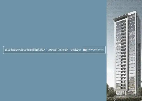 中铁嘉兴市南湖区新兴街道博海路地块(现代高层中式别墅豪宅)规划设计Gad