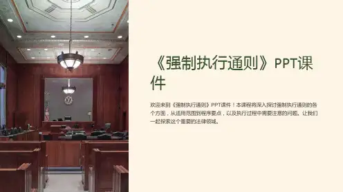《强制执行通则》课件