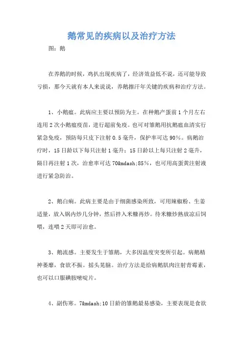 鹅常见的疾病以及治疗方法