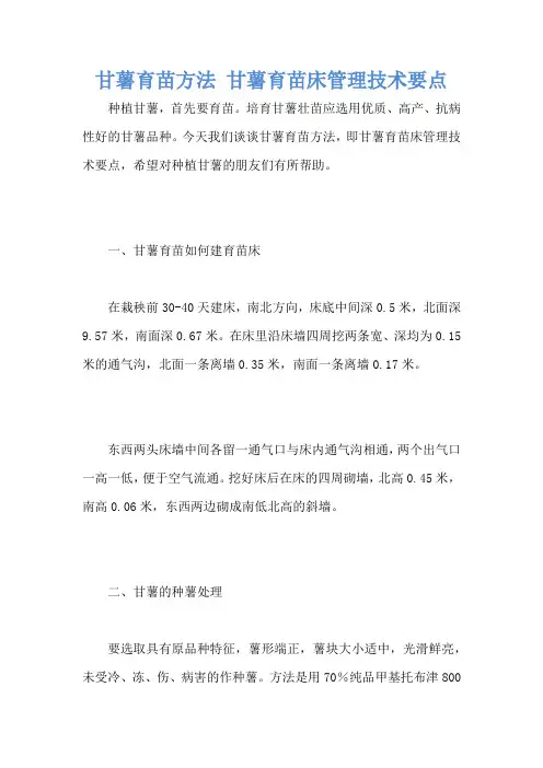 甘薯育苗方法 甘薯育苗床管理技术要点