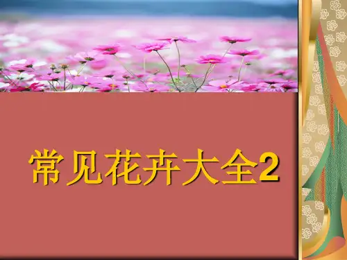 常见花卉大全2[1]