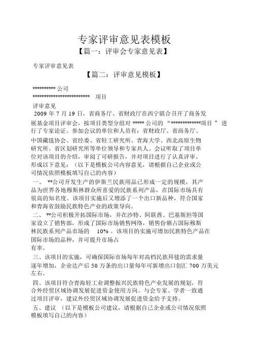 专家评审意见表模板