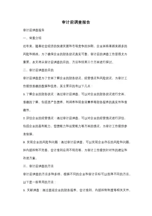 审计前调查报告