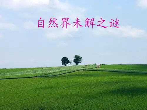 未解之谜的ppt获奖课件