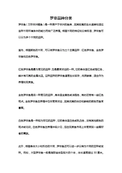 罗非品种分类