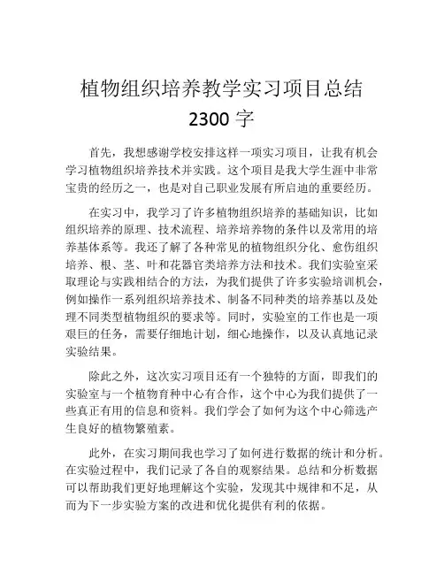 植物组织培养教学实习项目总结2300字