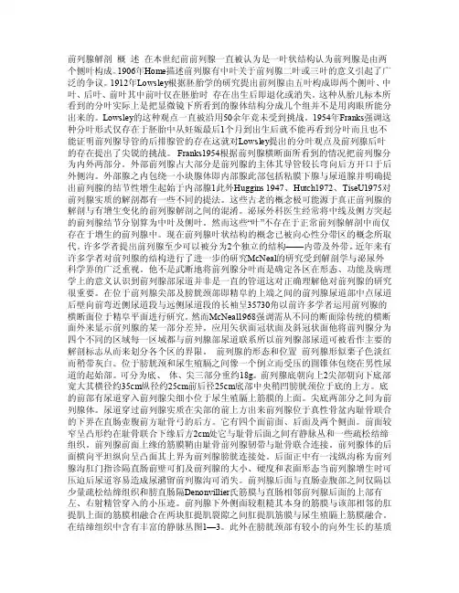 前列腺解剖形态