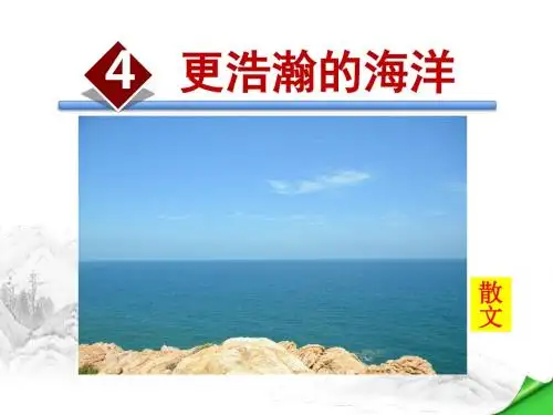 更浩瀚的海洋PPT课件9下语文版精品