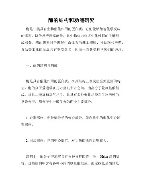 酶的结构和功能研究