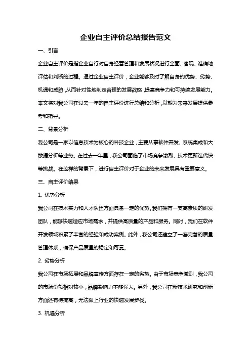 企业自主评价总结报告范文
