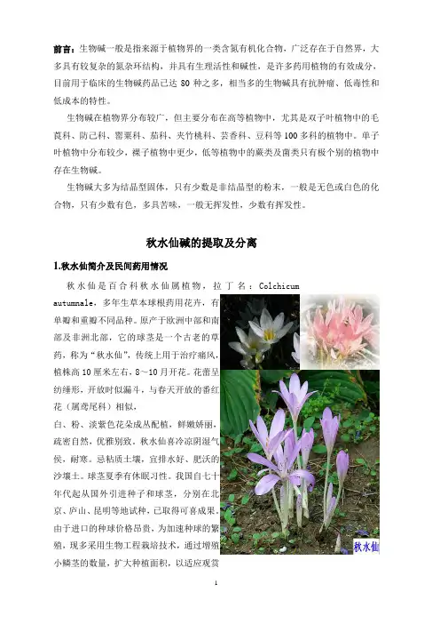 秋水仙碱的提取纯化