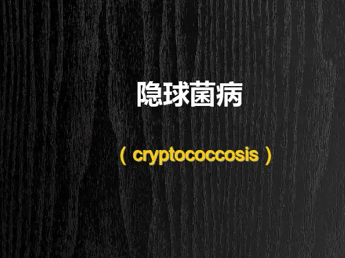 隐球菌病 PPT-