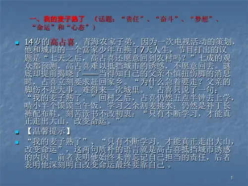 高考作文素材ppt课件