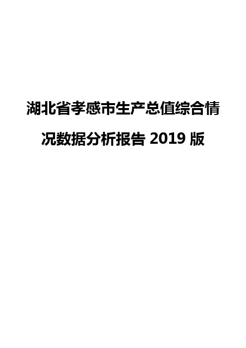 湖北省孝感市生产总值综合情况数据分析报告2019版